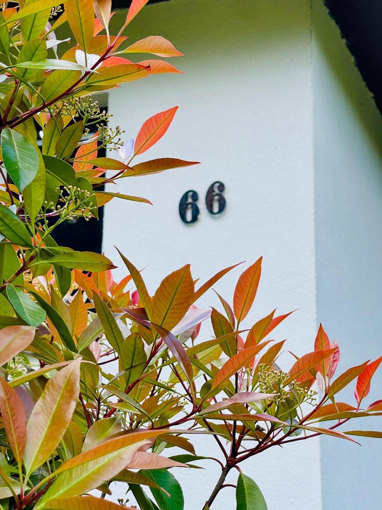 Ferienhaus Fuxbau Wohlau ภายนอก รูปภาพ